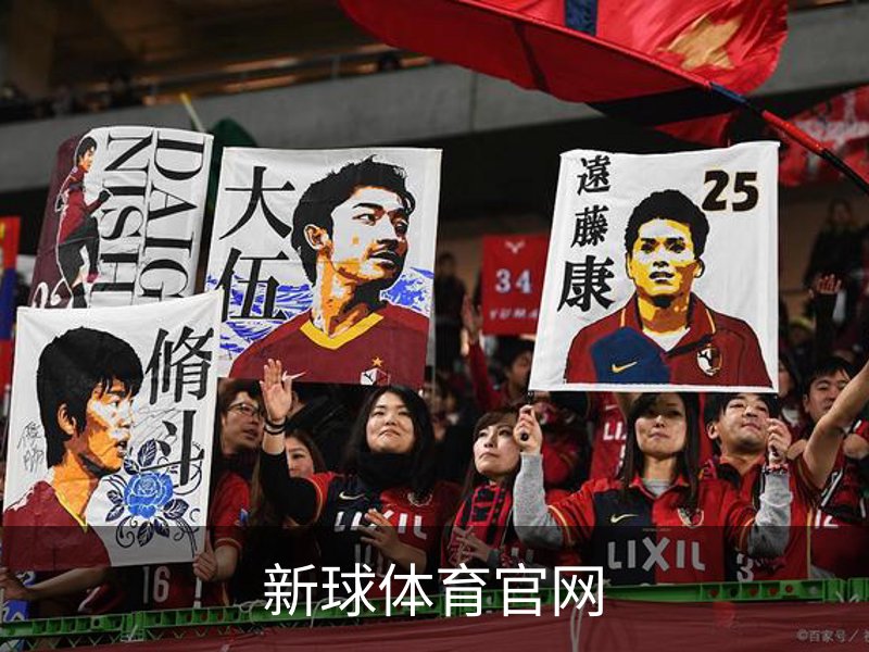了解新球体育官网
